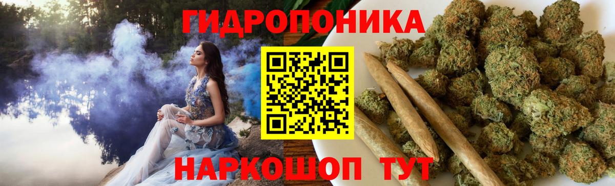 Канабис OG Kush Орёл